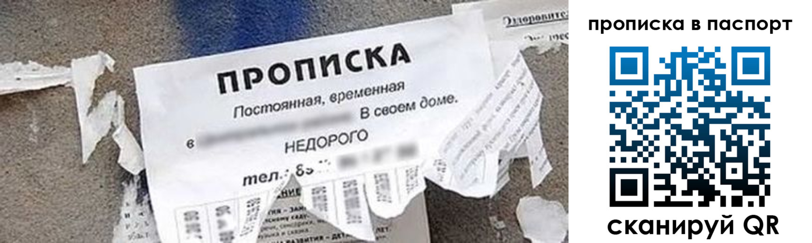 где прописаться в Вельске